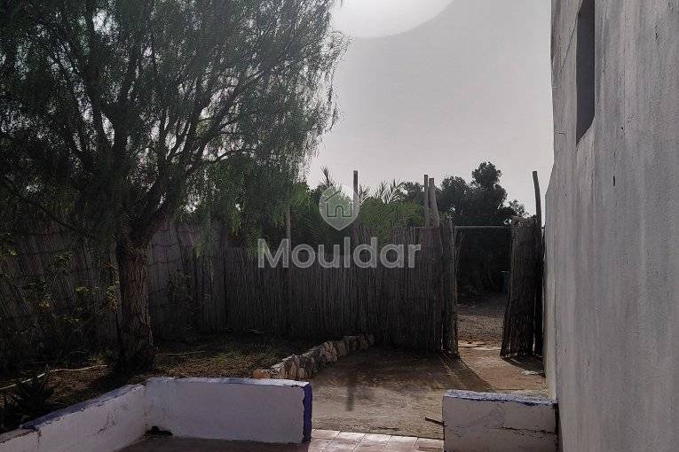 منزل للإيجار في الصويرة: هدوء وراحة - view 23