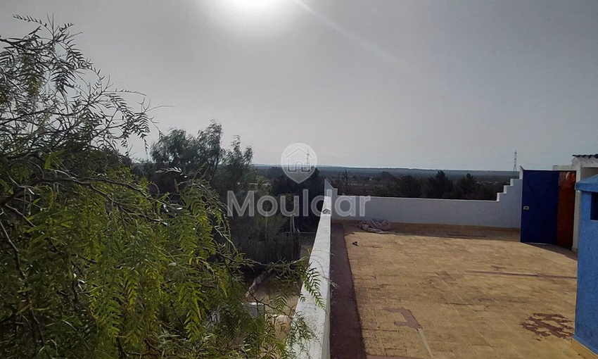 House for Rent in Essaouira: Calm and Comfort