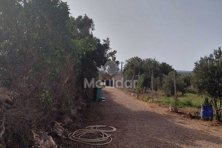 House for Rent in Essaouira: Calm and Comfort