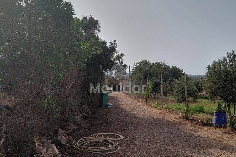 منزل للإيجار في الصويرة: هدوء وراحة - view 26