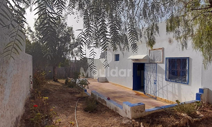 House for Rent in Essaouira: Calm and Comfort