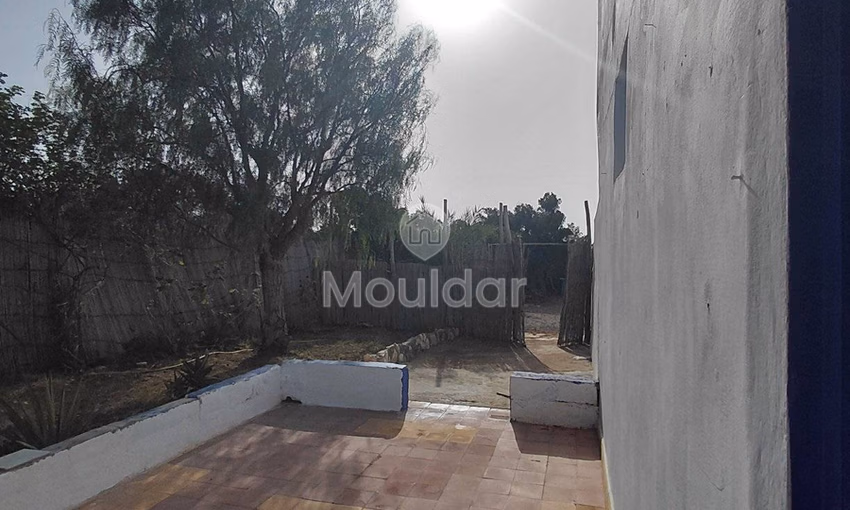 House for Rent in Essaouira: Calm and Comfort
