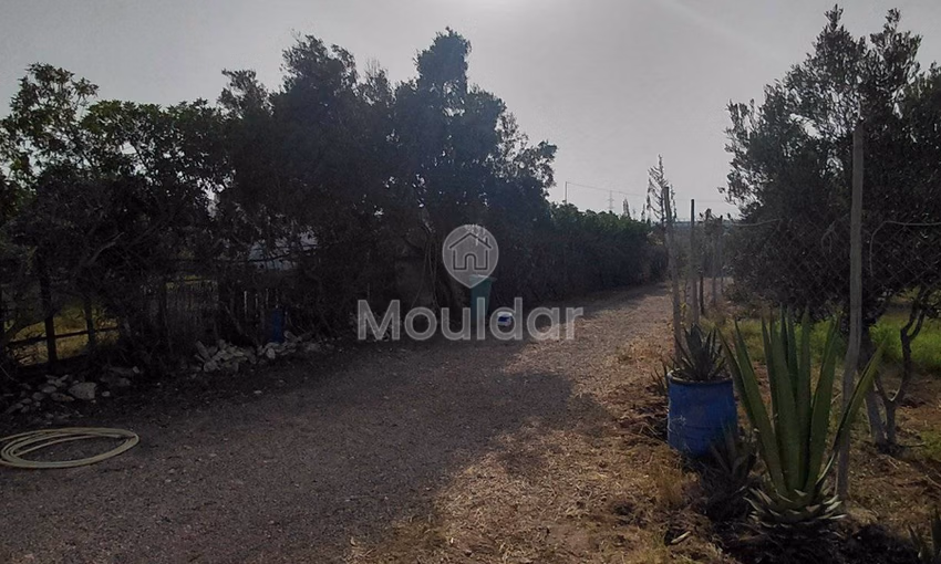 House for Rent in Essaouira: Calm and Comfort