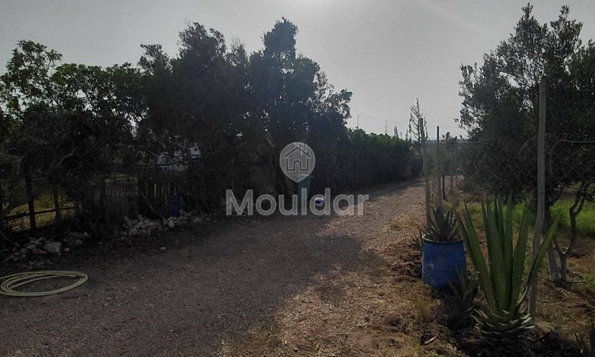 منزل للإيجار في الصويرة: هدوء وراحة - view 19