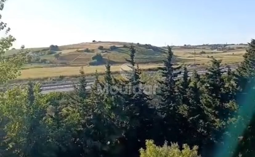 Οικία προς πώληση στην Ασίλα: εξαιρετικός χώρος 16.000 τ.μ. - view 3