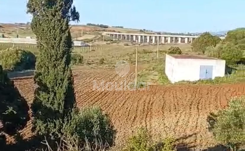 Οικία προς πώληση στην Ασίλα: εξαιρετικός χώρος 16.000 τ.μ. - view 7