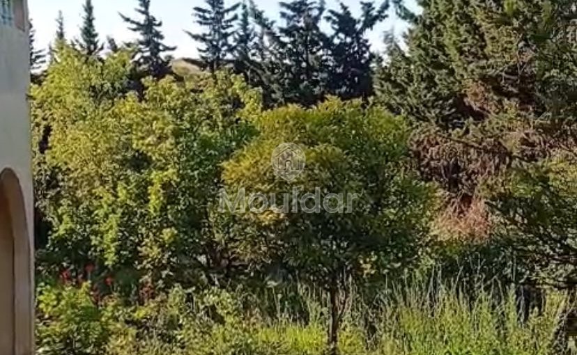 Οικία προς πώληση στην Ασίλα: εξαιρετικός χώρος 16.000 τ.μ. - view 4