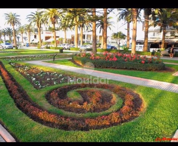 هروب إلى المحمدية: شقة من غرفتين في الحديقة هروب إلى المحمدية: شقة من غرفتين في الحديقة