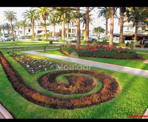 هروب إلى المحمدية: شقة من غرفتين في الحديقة - view 7