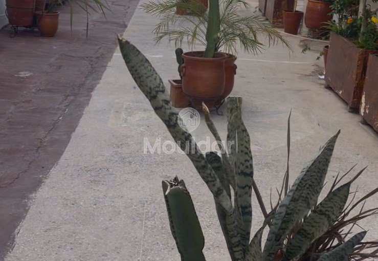 Villa en Venta en Tánger: 6 Habitaciones, 364m² de Prestigio Villa en Venta en Tánger: 6 Habitaciones, 364m² de Prestigio