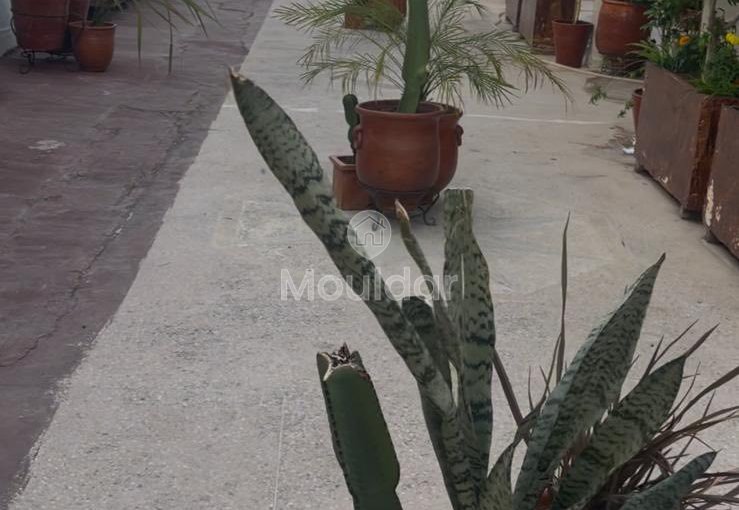 Βίλα προς πώληση στο Τάντζερ: 6 υπνοδωμάτια, 364 m² κύρους - view 4