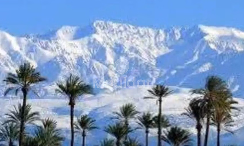 Villa de Vacaciones en Marrakech: Escape Lujoso y Confortable