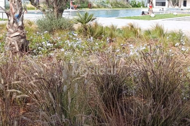 هروب إلى دار بوعزة: شقة عطلات فسيحة - view 17