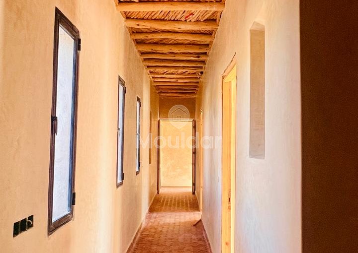 Villa d'Exception à Essaouira : Luxe et Espace Invincibles - view 22