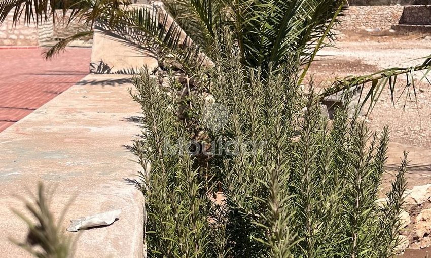 Villa d'Exception à Essaouira : Luxe et Espace Invincibles - view 15