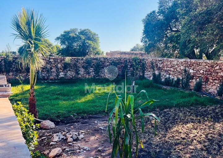 Villa d'Exception à Essaouira : Luxe et Espace Invincibles - view 4