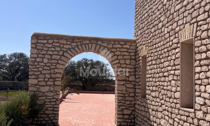 Villa d'Exception à Essaouira : Luxe et Espace Invincibles - view 7