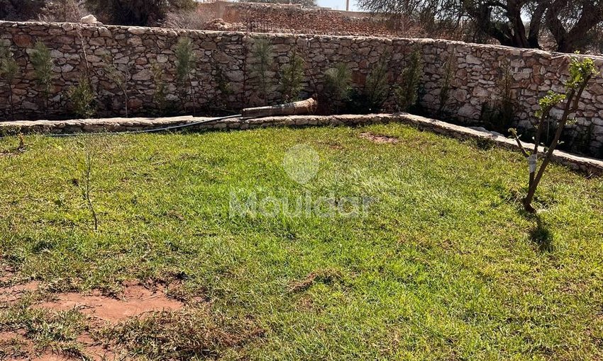 Villa d'Exception à Essaouira : Luxe et Espace Invincibles - view 14