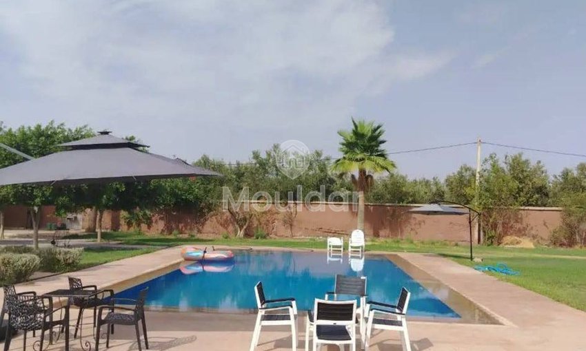 فيلا للعطلات في مراكش: مسبح وحديقة وراحة - view 5