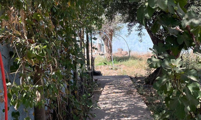 بيع أرض زراعية في مراكش: 1738م² من الفرص - view 12