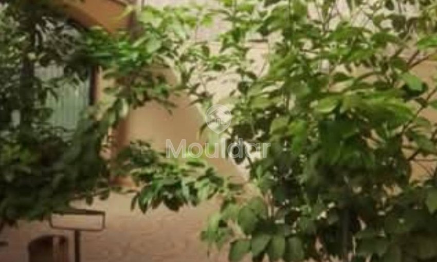 فيلا استثنائية للبيع في مراكش - تارجا: 4 غرف نوم - view 2