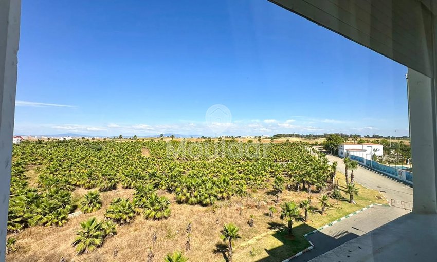 شقة ساحرة للايجار في أصيلة: غرفة نوم مريحة واحدة - view 6