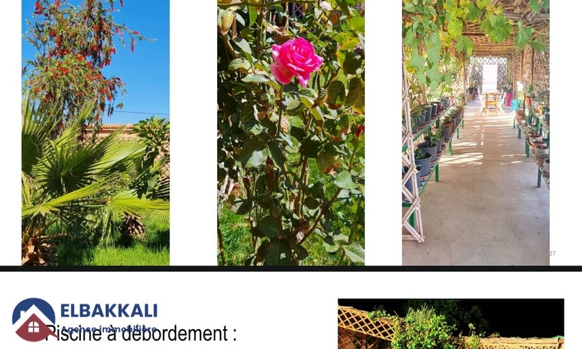 Riad d'Exception à Agadir : 20 Chambres sur 8400m² ! - view 2