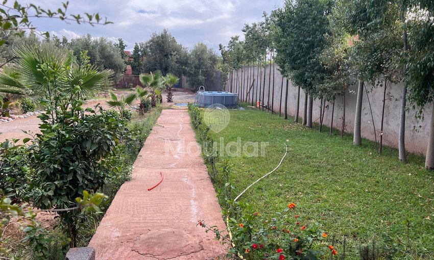 استوديو الأحلام في مراكش على 1150 م² - view 5