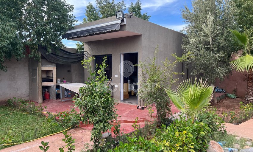 استوديو الأحلام في مراكش على 1150 م² - view 2