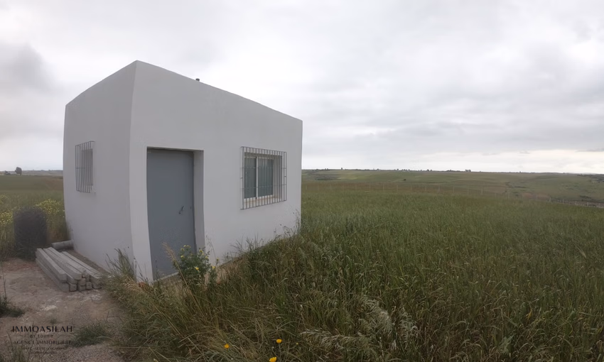 Terreno agrícola titulado de 3 hectáreas en Asilah