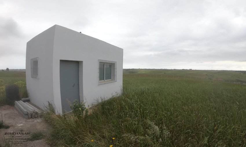 Terrain agricole titré de 3 Héctares à Asilah - view 7