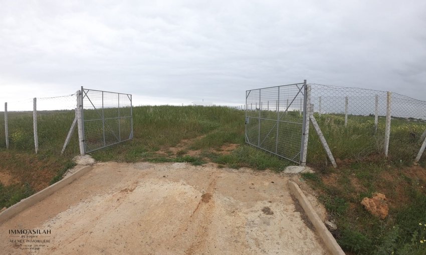 Terrain agricole titré de 3 Héctares à Asilah - view 6