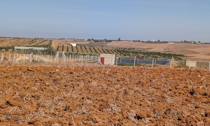 Terrain agricole titré de 3 Héctares à Asilah - view 11