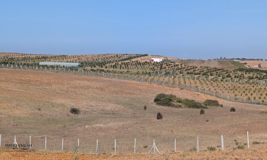 Terreno agrícola titulado de 3 hectáreas en Asilah