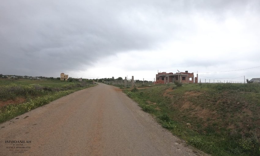 Terrain agricole titré de 3 Héctares à Asilah - view 3