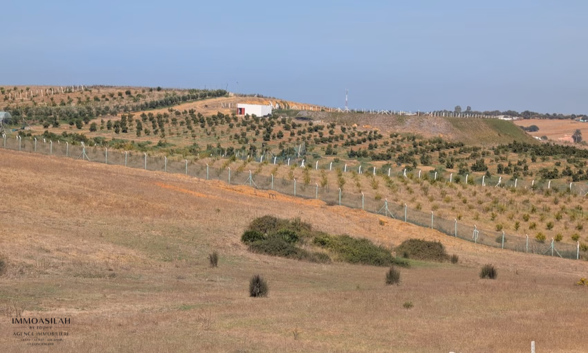 Terreno agrícola titulado de 3 hectáreas en Asilah