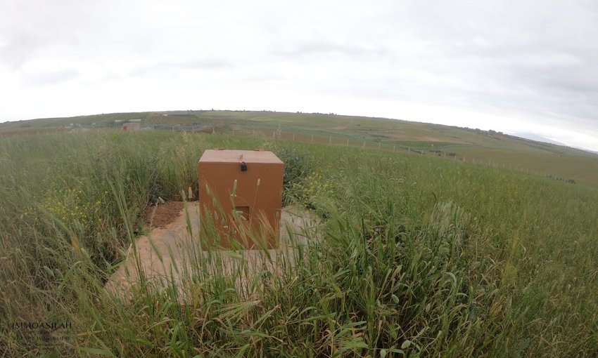 Terrain agricole titré de 3 Héctares à Asilah - view 8