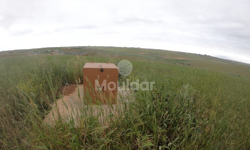 Terrain Agricole Titulaire de 3 Hectares à Vendre à Asilah - view 9