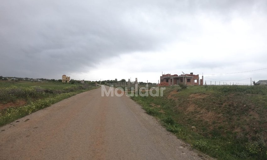 Terrain Agricole Titulaire de 3 Hectares à Vendre à Asilah - view 3