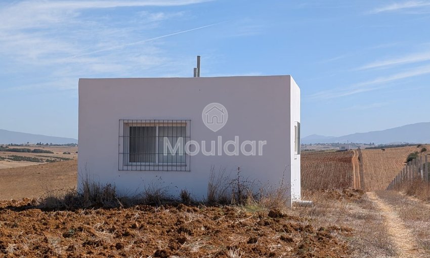Terrain Agricole Titulaire de 3 Hectares à Vendre à Asilah - view 2