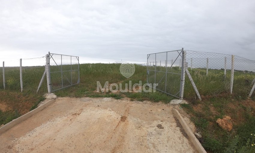 Terrain Agricole Titulaire de 3 Hectares à Vendre à Asilah - view 6