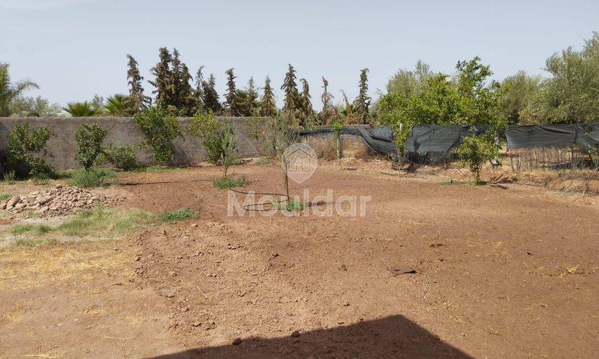 منزل استثنائي للبيع في مراكش - 2800م² من السحر - view 15