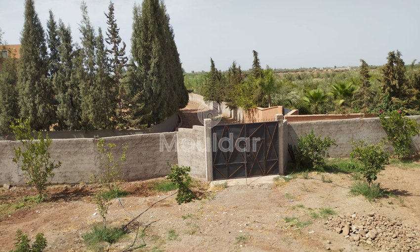 منزل استثنائي للبيع في مراكش - 2800م² من السحر - view 17