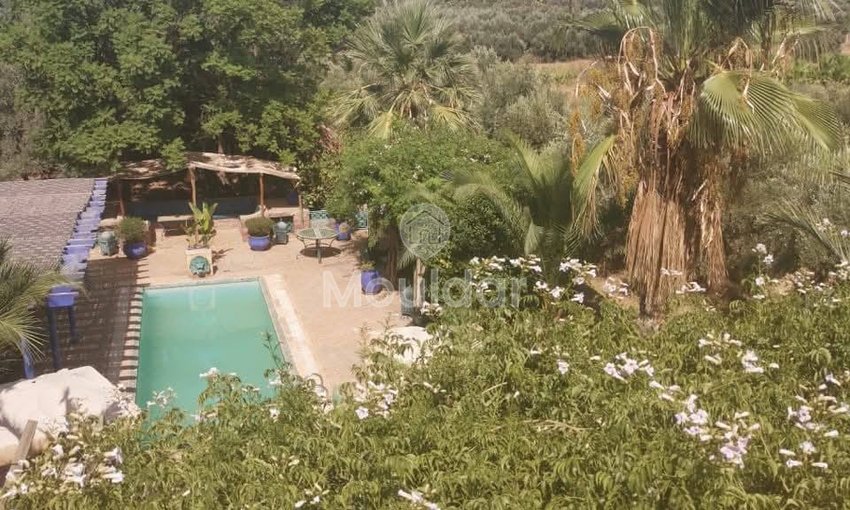 Luxe villa in Marrakech met zwembad en een adembenemende tuin - view 2