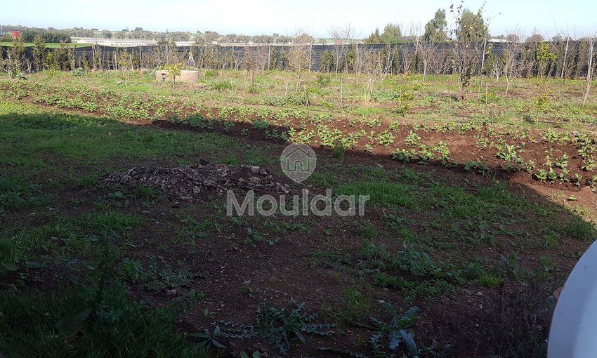 Satılık çiftlik: Casablanca ile El Jadida arasında 3500 m², mükemmel konum! - view 2