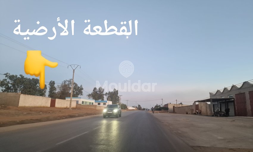 Teren industrial de vânzare în Ksar el-Kebir - 1000 m² - view 9