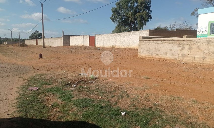 Teren industrial de vânzare în Ksar el-Kebir - 1000 m² - view 2