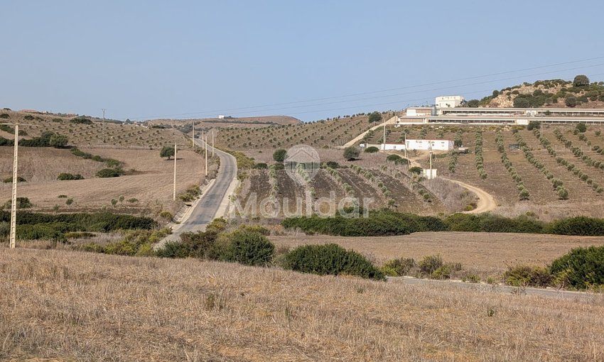 30 Héctares titrés à vendre - view 8