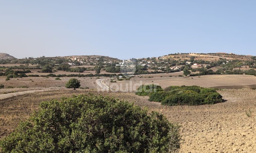 Terrain Agricole de 3 Hectares à Vendre à Asilah - view 4