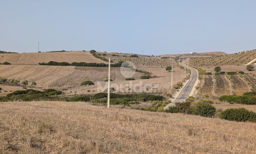 30 Héctares titrés à vendre - view 7